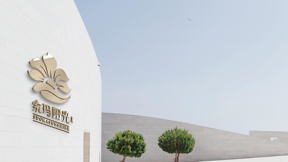 索玛阳光鸡蛋包装设计